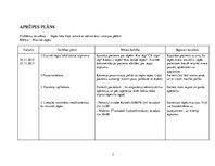 Prakses atskaite 'Pacienta aprūpes vēsture ķirurģijā', 21.