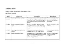 Prakses atskaite 'Pacienta aprūpes vēsture ķirurģijā', 25.
