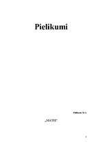 Konspekts 'Kvalifikācijas eksāmens sākumskolā', 8.