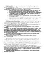 Konspekts 'Šķiedraugi', 4.