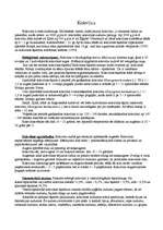 Konspekts 'Šķiedraugi', 5.