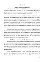 Referāts 'Bienen in der Stadt - effektiv oder unwirksam?', 6.