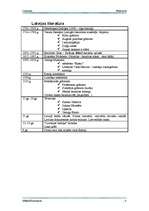 Referāts 'Klasicisms', 3.