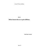 Referāts 'Dabas katastrofas, to pārvaldīšana', 17.