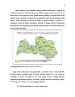 Prakses atskaite 'Sociālā darba prakse mezo un makro līmenī', 6.