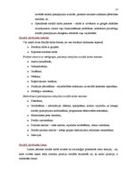 Prakses atskaite 'Sociālā darba prakse mezo un makro līmenī', 17.