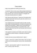 Referāts 'Cepuru vēsture', 4.