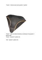 Referāts 'Cepuru vēsture', 5.