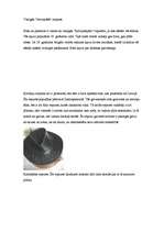 Referāts 'Cepuru vēsture', 7.