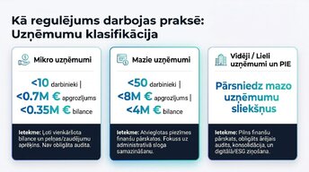 Prezentācija 'Grāmatvedības uzskaites regulējums Eiropas Savienībā', 4.