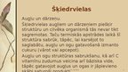 Prezentācija 'Pārtikas produktu apstrādes metodes', 4.