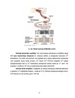 Referāts 'Pacienta izglītošana par fiziskām aktivitātēm', 10.