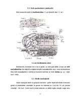 Referāts 'Pacienta izglītošana par fiziskām aktivitātēm', 11.