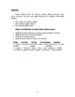 Referāts 'Uguns kā simbols', 4.