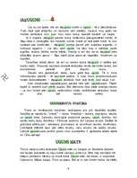 Referāts 'Uguns kā simbols', 9.