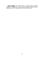 Referāts 'Uguns kā simbols', 12.