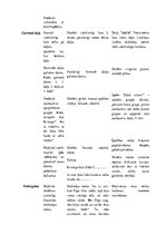 Konspekts 'Latviešu valodas un literatūras mācību saturs un metodika sākumskolā. Stundas ko', 2.