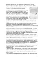 Referāts 'Jaunietis literatūrā', 8.