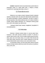 Referāts '21.gs. jauniešu attieksme pret grāmatu lasīšanu', 10.