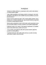 Referāts '21.gs. jauniešu attieksme pret grāmatu lasīšanu', 29.