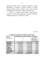 Diplomdarbs 'Starptautisko konteineru pārvadājumu organizēšana', 30.