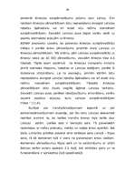 Diplomdarbs 'Starptautisko konteineru pārvadājumu organizēšana', 39.