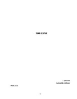Referāts '1920.gadu reklāmas izmaina amerikāņu ikdienu', 11.