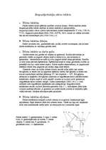 Konspekts 'Bezpastiprinātāja stūres iekārta', 1.