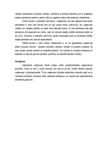 Eseja 'Projektorientētas organizācijas pazīmes', 2.