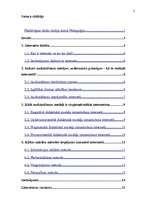 Referāts 'Interneta izmantošana audzināšanā', 2.