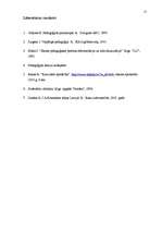 Referāts 'Interneta izmantošana audzināšanā', 15.