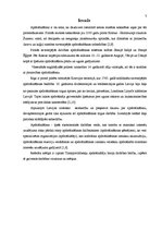 Prakses atskaite 'Latvijas Transportlīdzekļu apdrošinātāju biroja darbības būtība', 3.