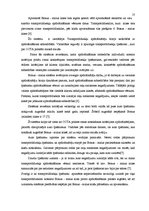 Prakses atskaite 'Latvijas Transportlīdzekļu apdrošinātāju biroja darbības būtība', 10.