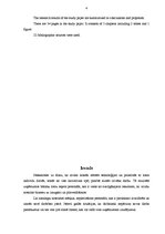 Referāts 'Personāla atlases problēmas uzņēmējdarbībā', 4.