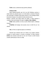 Konspekts 'Adaptācija un tās nozīme dzīvnieku pasaulē', 2.