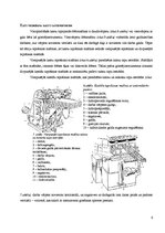 Referāts 'Noslēdzošā apstrāde', 6.