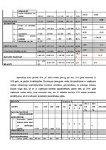 Referāts 'SIA "X" finanšu analīze', 9.