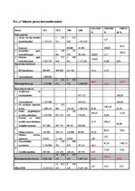 Referāts 'SIA "X" finanšu analīze', 13.