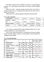Referāts 'SIA "X" finanšu analīze', 16.