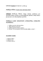 Konspekts 'Pirmsskolas nodarbību plāns. Dzimšanas diena', 1.