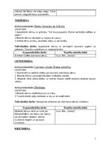 Konspekts 'Pirmsskolas nodarbību plāns. Dzimšanas diena', 3.