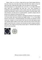 Referāts 'Cimdi', 4.