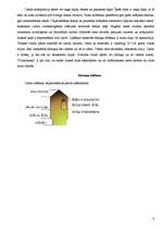 Referāts 'Cimdi', 6.