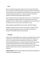 Referāts 'Kultūras informācijas kvalitāte laikrakstos "Diena" un "Neatkarīgā Rīta Avīze"', 21.