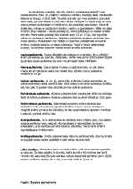 Referāts 'Par pulksteņiem', 1.