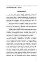 Referāts 'Ūdens transporta loma tūrismā', 8.