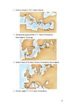 Referāts 'Ūdens transporta loma tūrismā', 25.