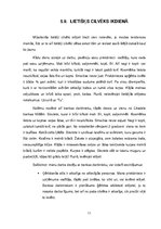 Referāts 'Lietišķais stils', 11.