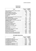 Referāts 'AS "Amo Plant" rentabilitātes analīze', 5.