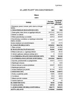 Referāts 'AS "Amo Plant" rentabilitātes analīze', 7.